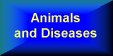 Animals and Diseases