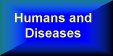 Humans and Diseases