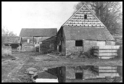 Farmyard