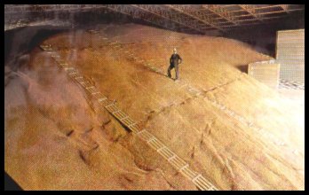 Grain Store