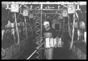 Modern Milking