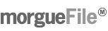 MorgueFile Free Images